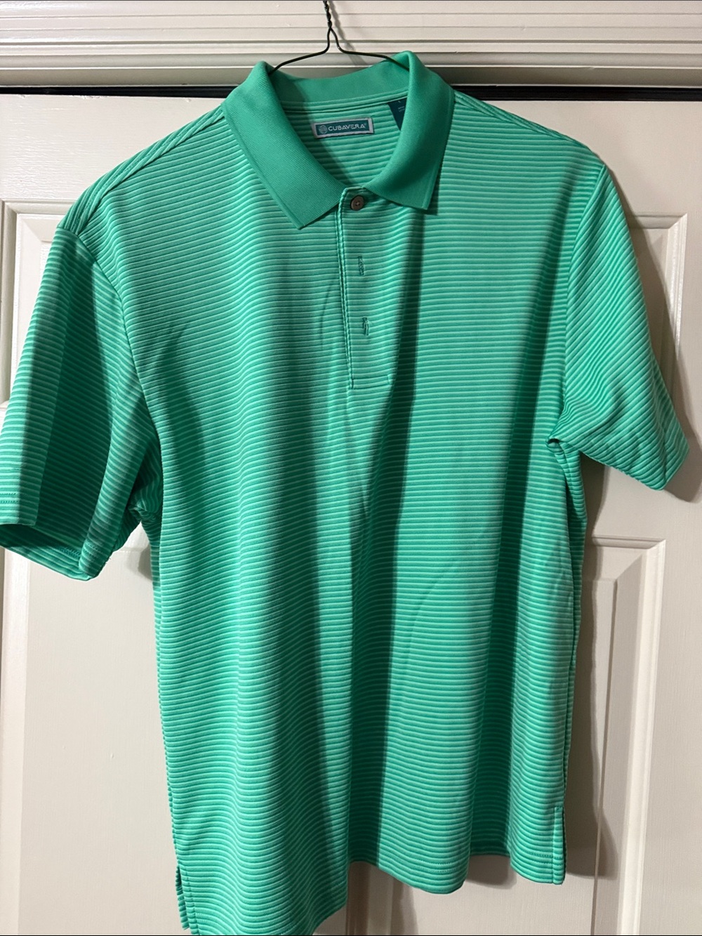 Cubavera Teal Green Micro-Striped Polo Shirt